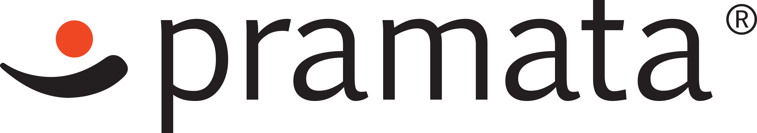 Pramata Corporation Logo